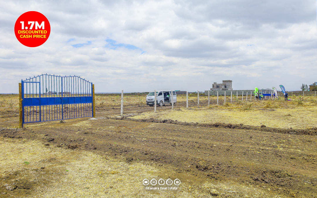 Graceville Phase Iii — gallery